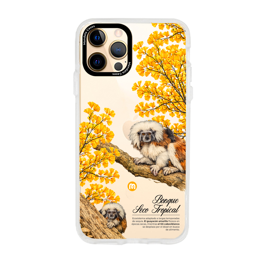 Cases para iphone 12 pro - Mandala Cases