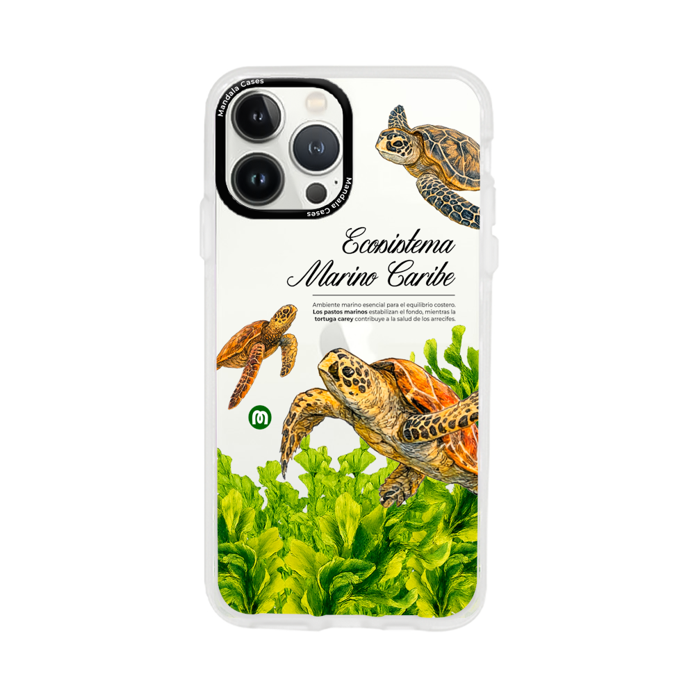 Cases para iphone 13 pro max - Mandala Cases